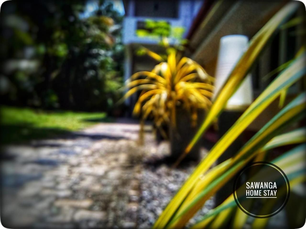 Sawanga Home Stay Weligama Exterior photo